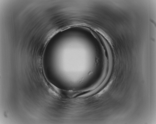 X0000095961001200801111358