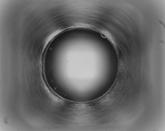 X0000095961003200801111358