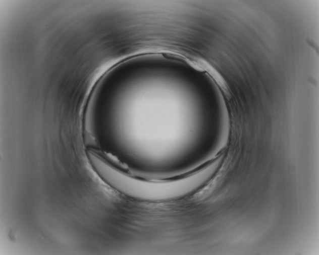 X0000095961004200801111358