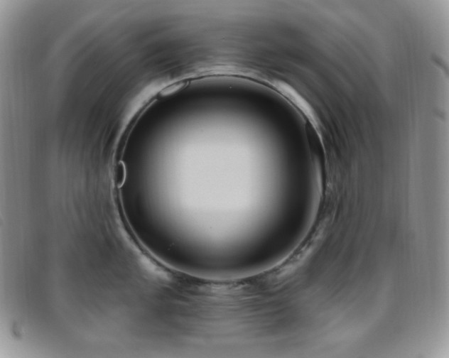 X0000095961005200801111358