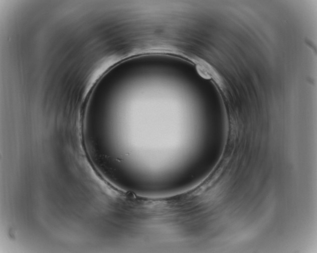 X0000095961006200801111358