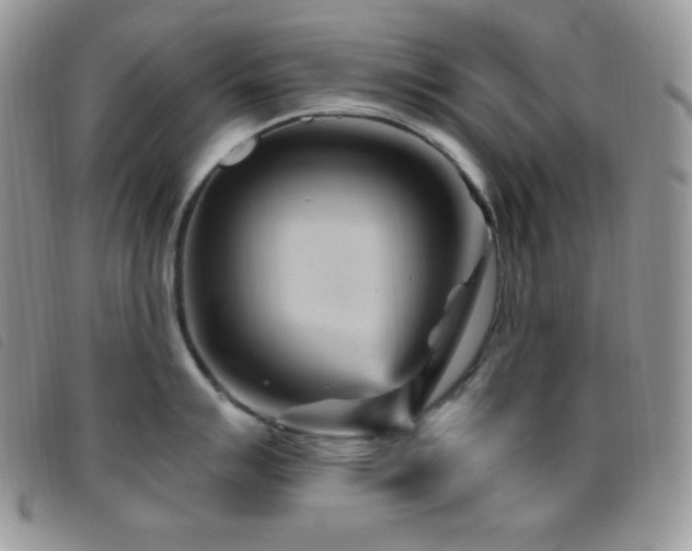 X0000095961007200801111358