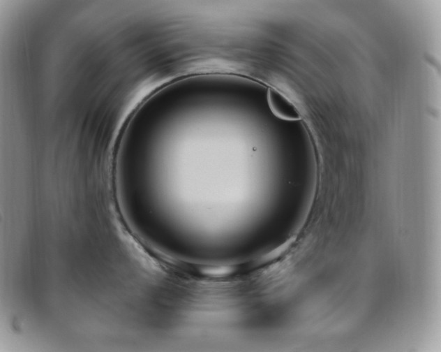 X0000095961008200801111358