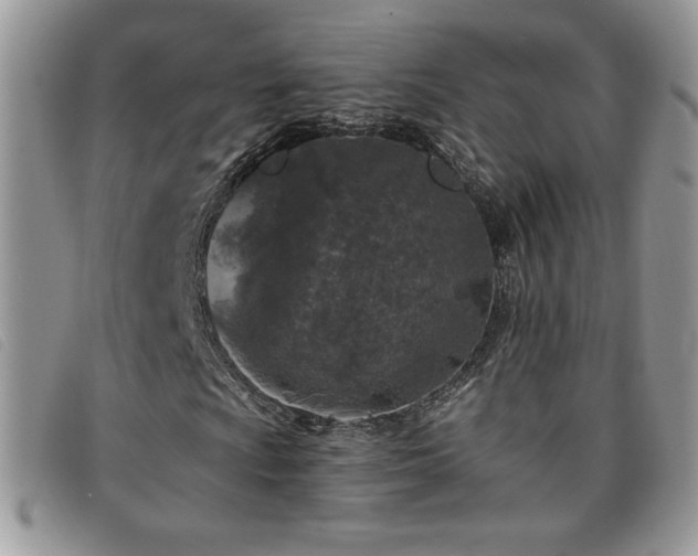 X0000095961009200801111357
