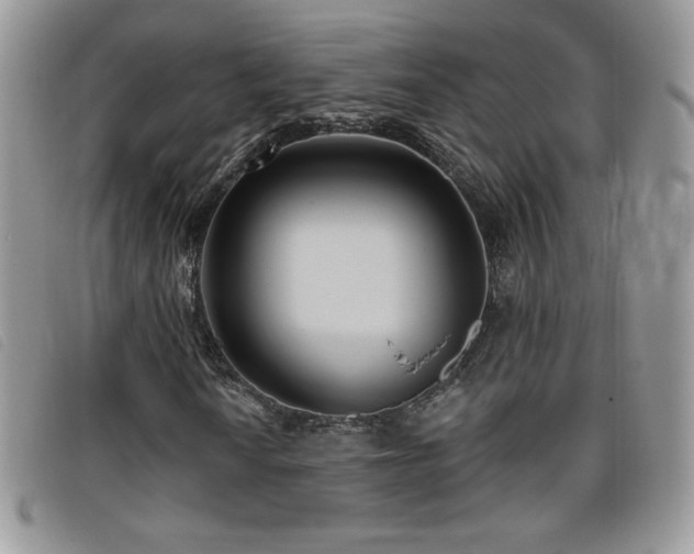X0000095961010200801111357
