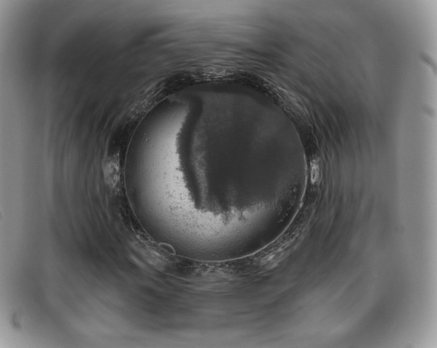 X0000095961011200801111357