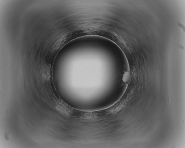 X0000095961012200801111357