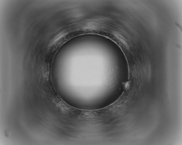X0000095961015200801111357