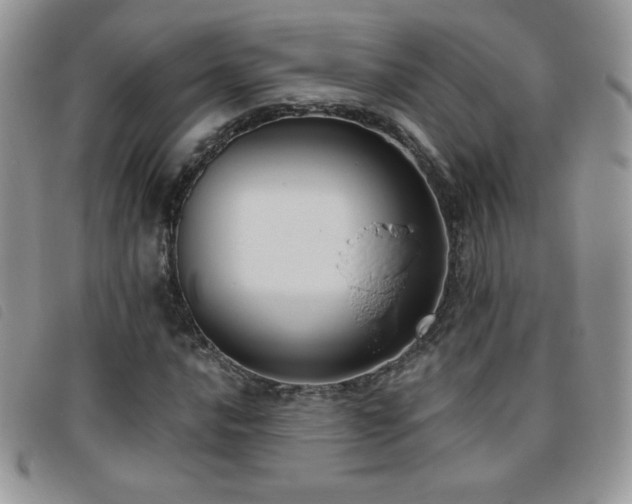 X0000095961016200801111357