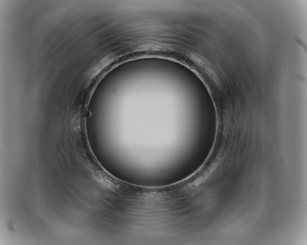 X0000095961017200801111357