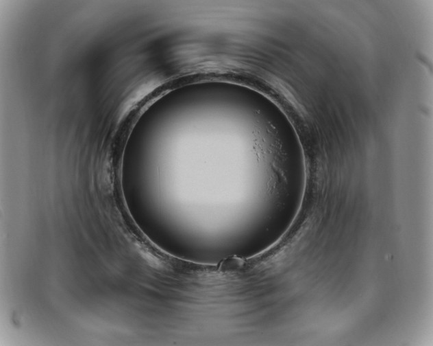 X0000095961018200801111357