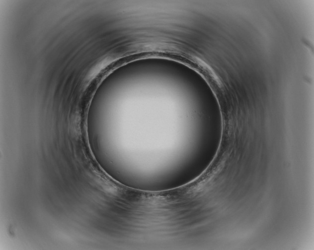 X0000095961019200801111357