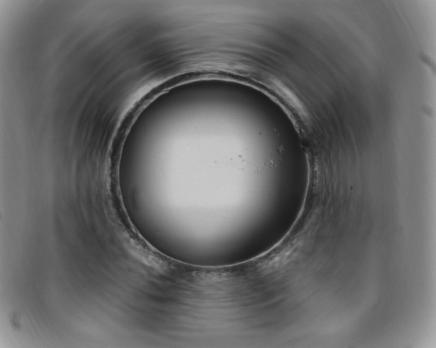 X0000095961020200801111357