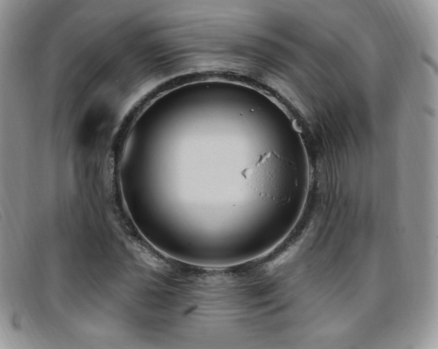 X0000095961021200801111357
