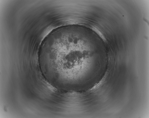 X0000095961023200801111357