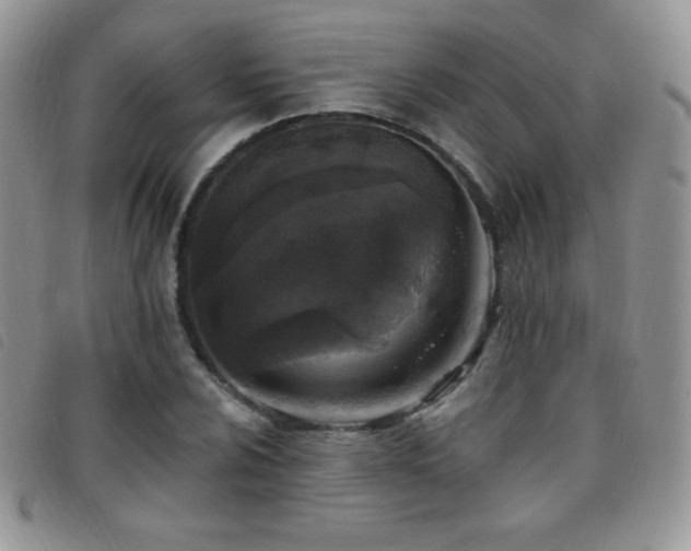 X0000095961024200801111357