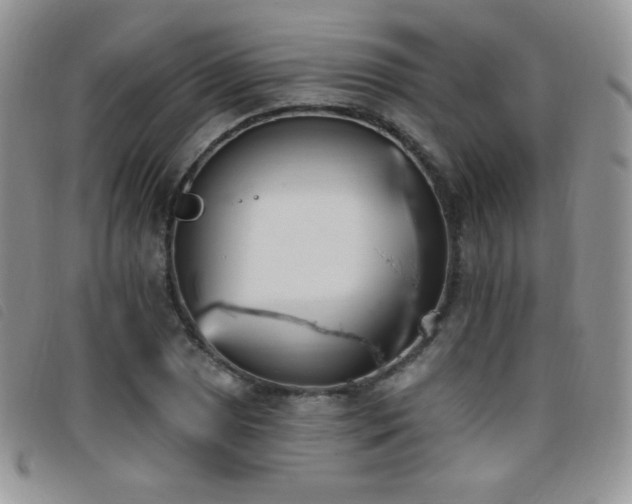 X0000095961025200801111357
