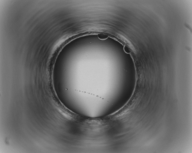 X0000095961027200801111357