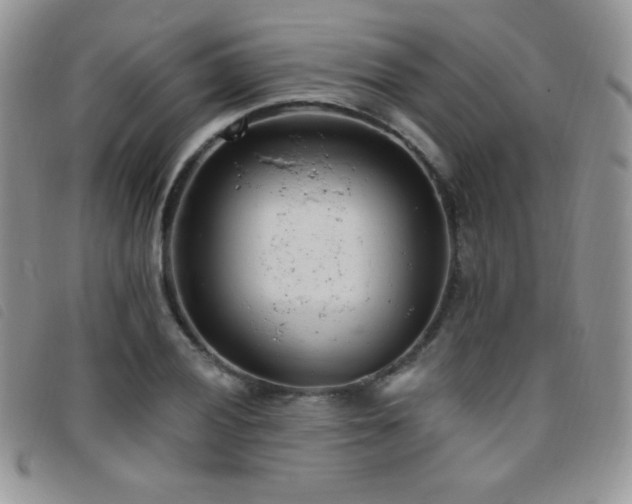 X0000095961028200801111357