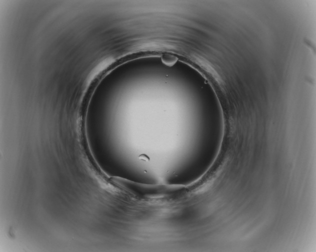 X0000095961029200801111357