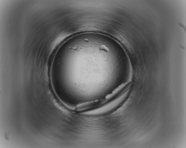 X0000095961030200801111357