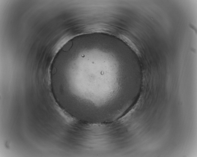 X0000095961031200801111357