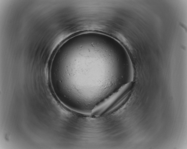 X0000095961032200801111357