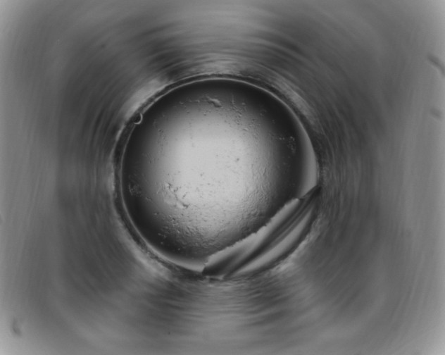 X0000095961034200801111357
