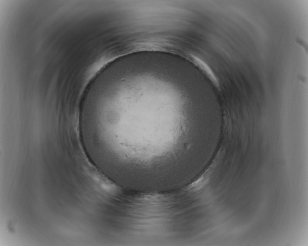 X0000095961035200801111357