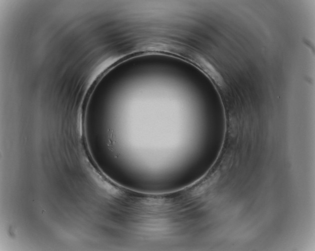 X0000095961036200801111357