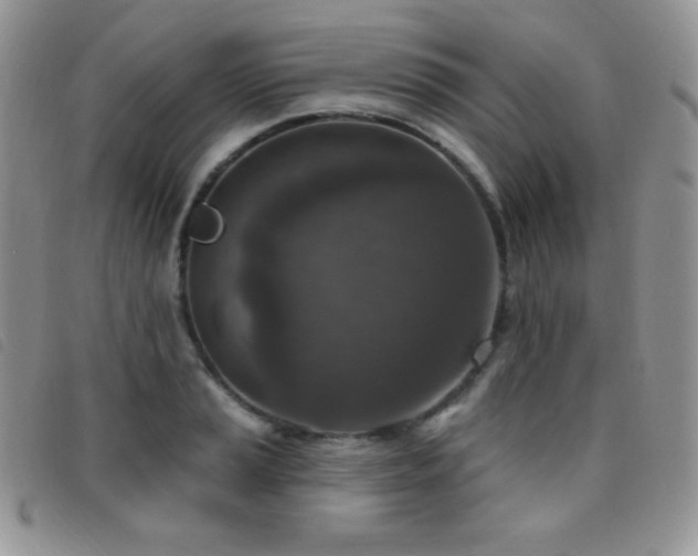 X0000095961037200801111357