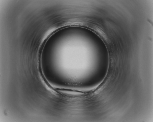 X0000095961038200801111357