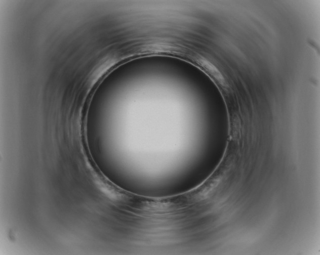 X0000095961039200801111357