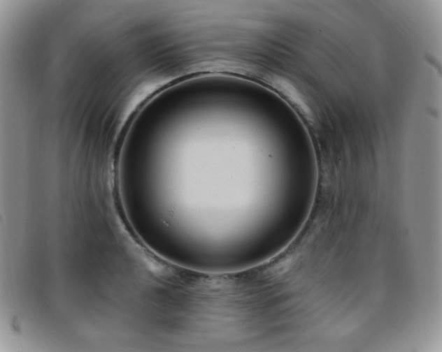 X0000095961040200801111357