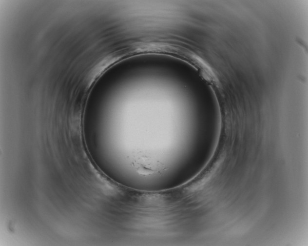 X0000095961041200801111358