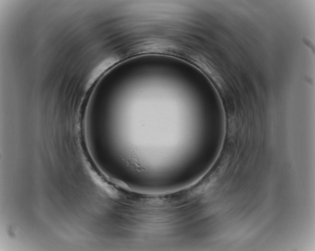 X0000095961042200801111358