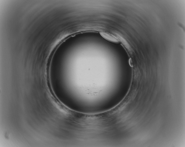 X0000095961043200801111358
