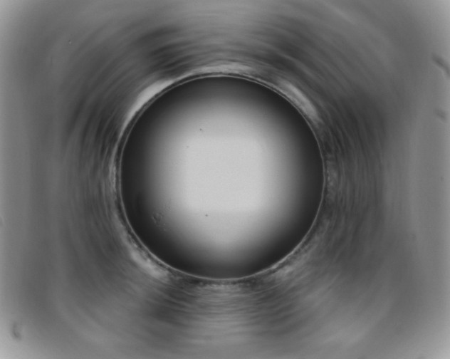 X0000095961044200801111358