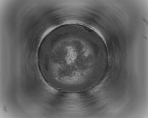 X0000095961045200801111358