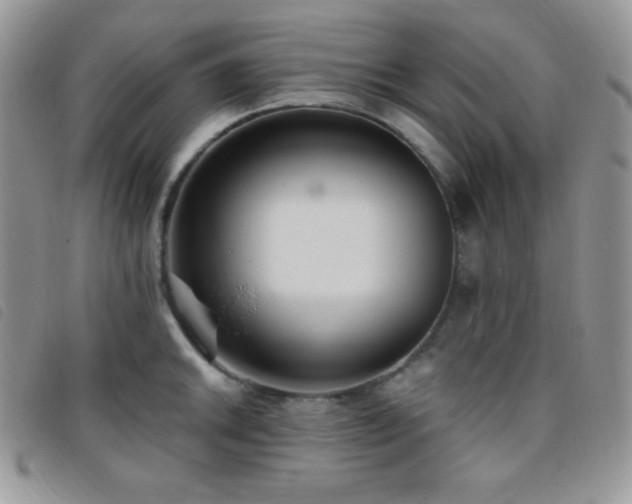 X0000095961046200801111358