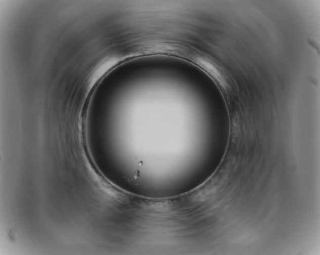 X0000095961047200801111358
