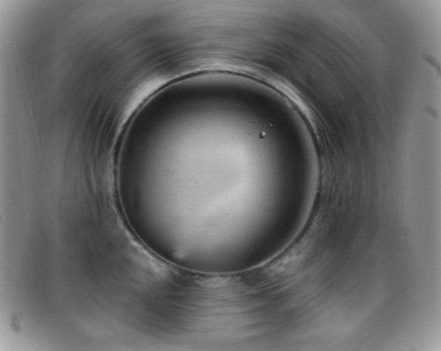 X0000095961048200801111358