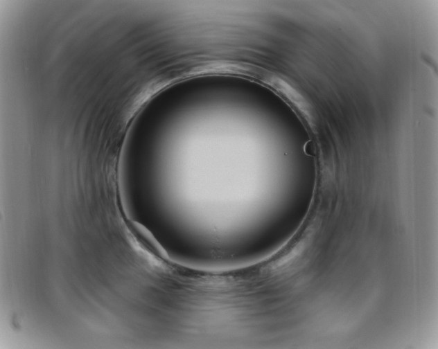 X0000095961049200801111358