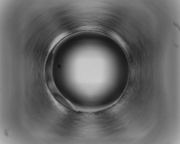 X0000095961050200801111358