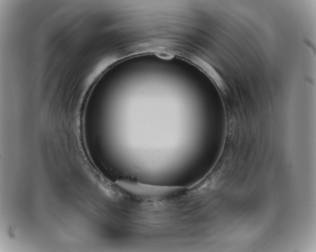 X0000095961051200801111358
