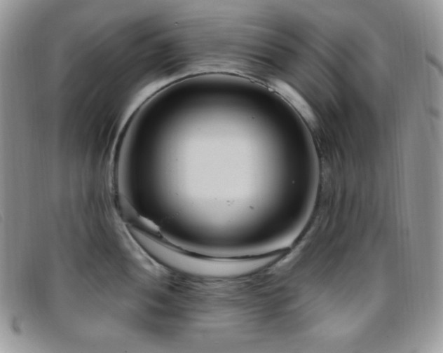 X0000095961052200801111358