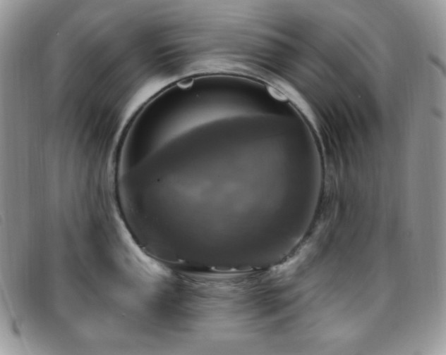 X0000095961053200801111358