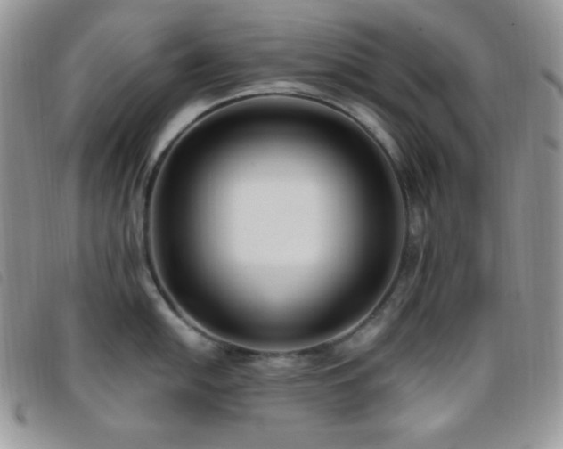 X0000095961054200801111358