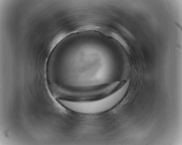 X0000095961055200801111358