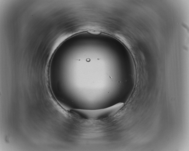 X0000095961056200801111358